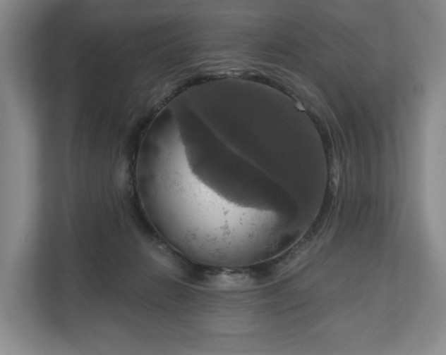 X0000111200270200907081248