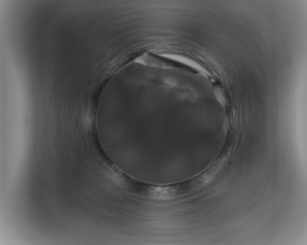 X0000111200277200907081248