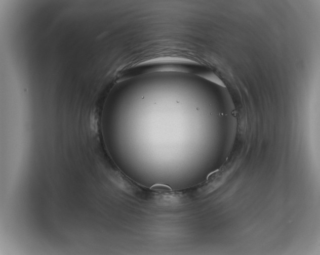 X0000111200282200907081248