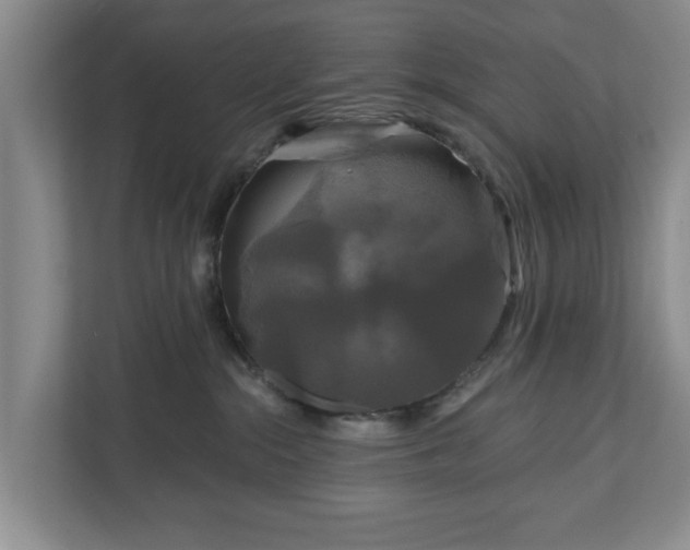 X0000111200284200907081248