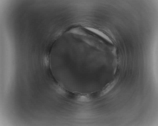 X0000111200285200907081248