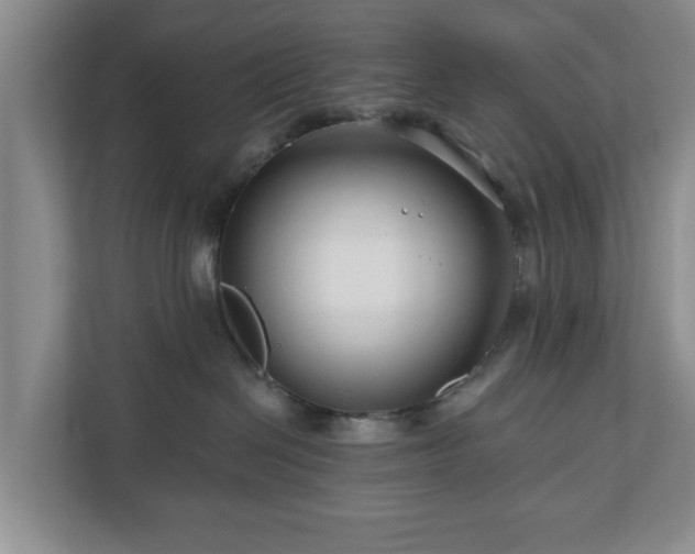 X0000111200286200907081248