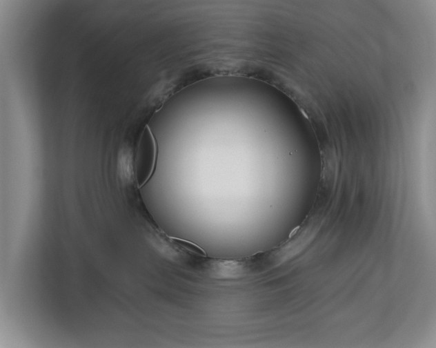 X0000111200287200907081248