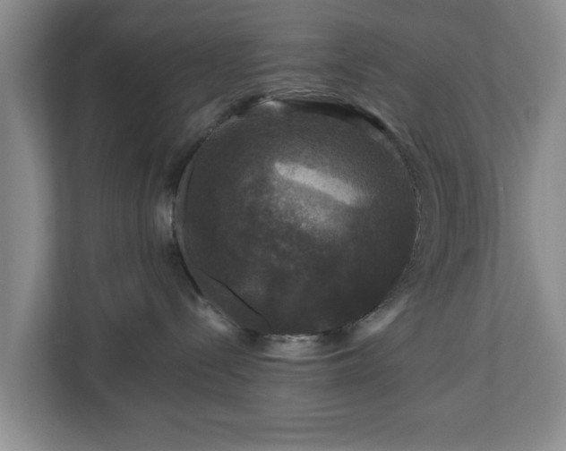 X0000111200288200907081248