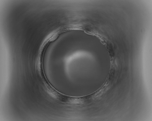 X0000111200293200907081247