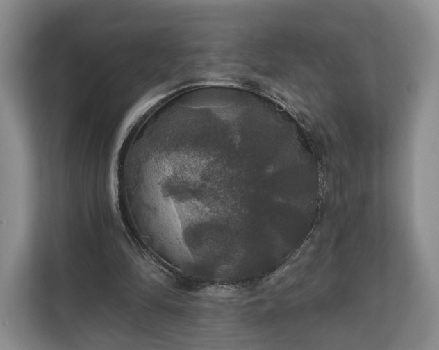 X0000111200294200907081247