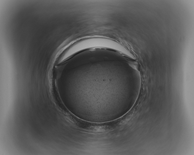 X0000111200295200907081247