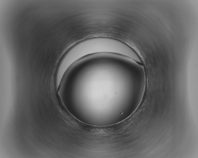 X0000111200297200907081247