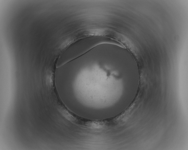 X0000111200305200907081247