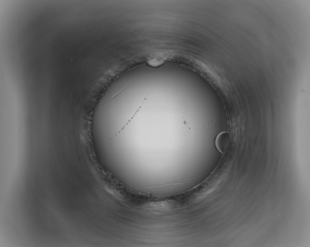 X0000111200307200907081247