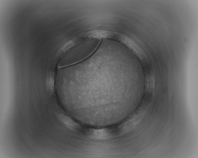 X0000111200309200907081247