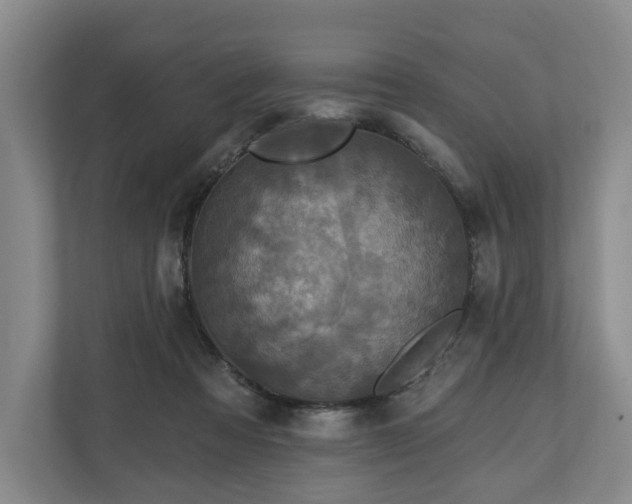 X0000111200313200907081247