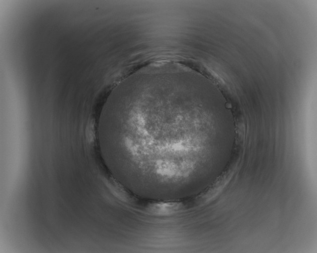 X0000111200323200907081247