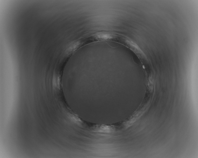 X0000111200330200907081247