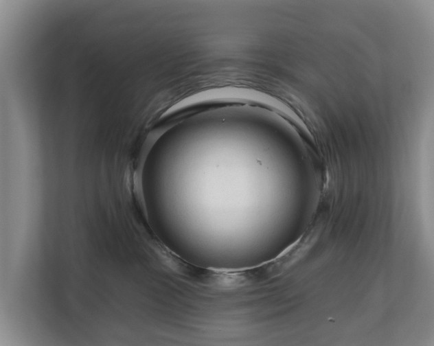 X0000111200333200907081247