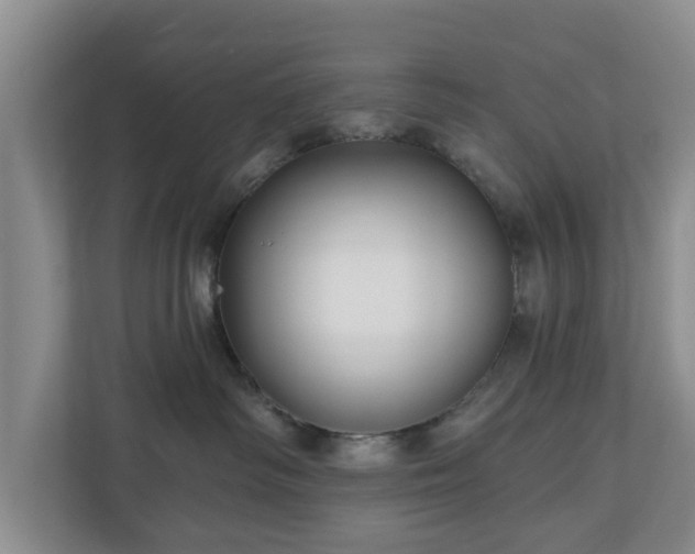 X0000111200334200907081247