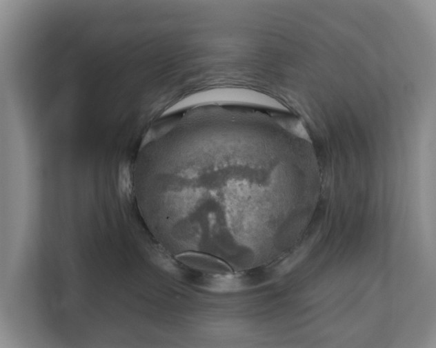 X0000111200335200907081247