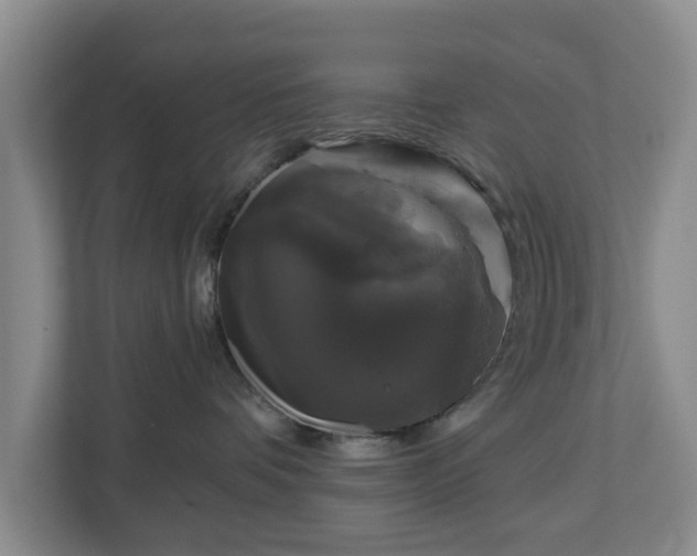 X0000111200336200907081247