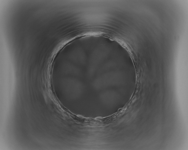 X0000111200337200907081246