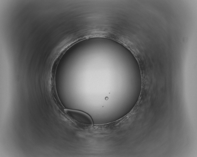 X0000111200338200907081246