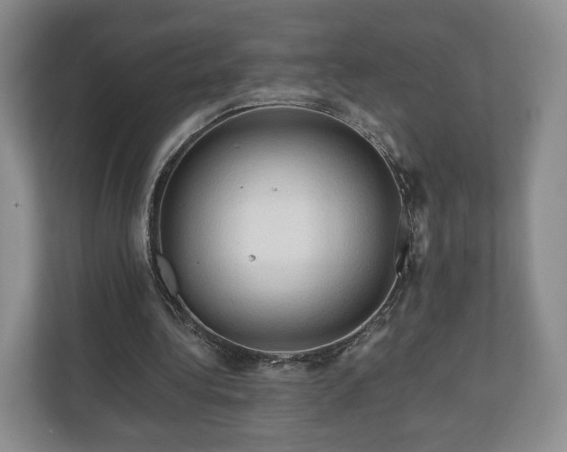 X0000111200340200907081246