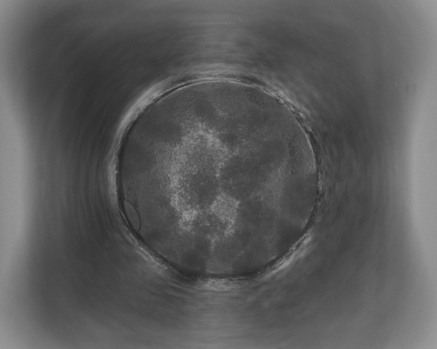 X0000111200341200907081246