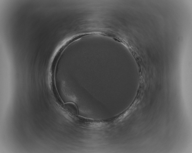 X0000111200342200907081246