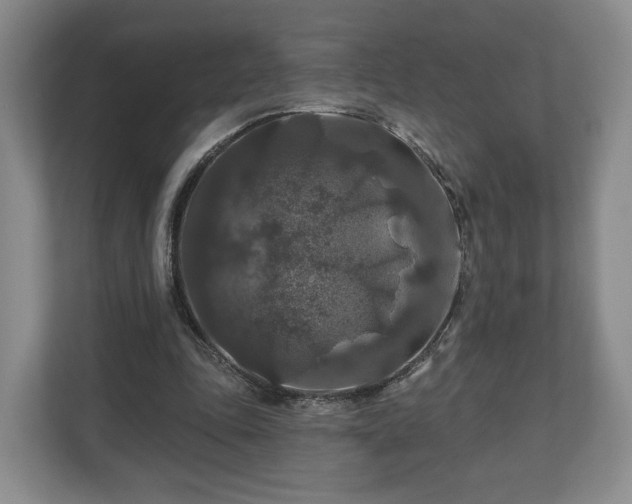 X0000111200343200907081246