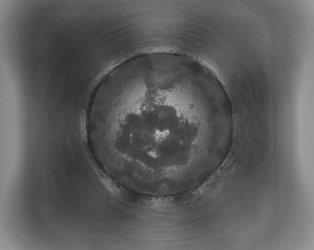 X0000111200345200907081246