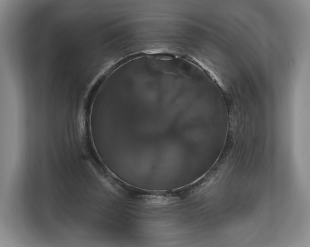 X0000111200347200907081246