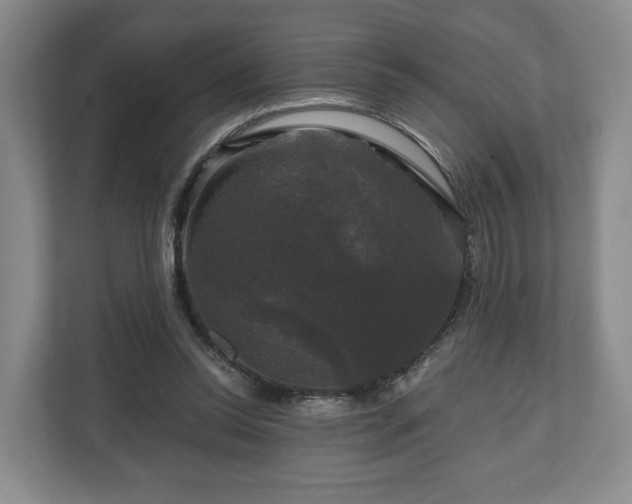 X0000111200350200907081246