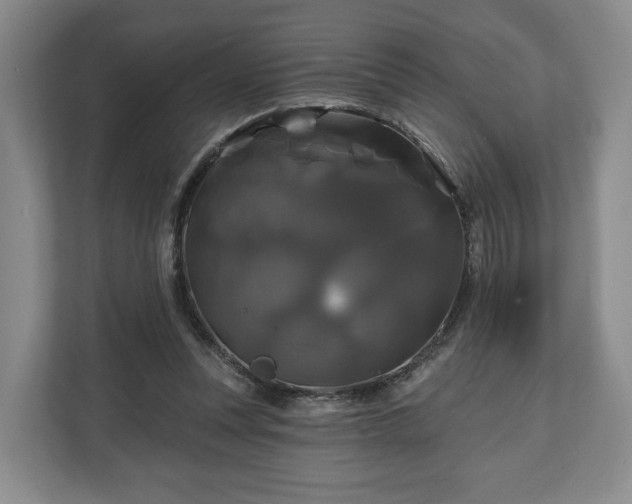 X0000111200351200907081246