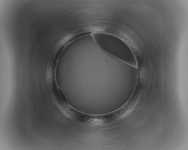 X0000111200352200907081246