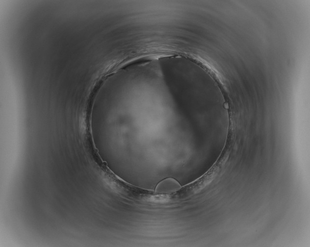 X0000111200353200907081246