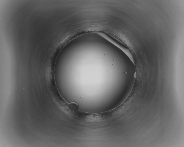 X0000111200354200907081246