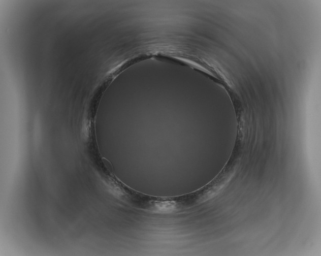 X0000111200355200907081246