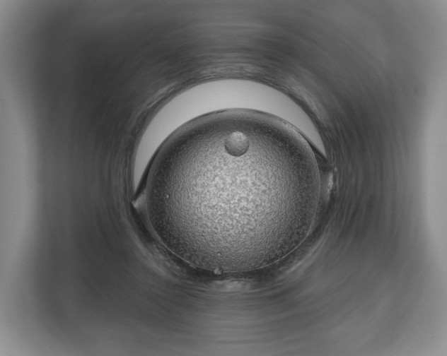 X0000111200356200907081246