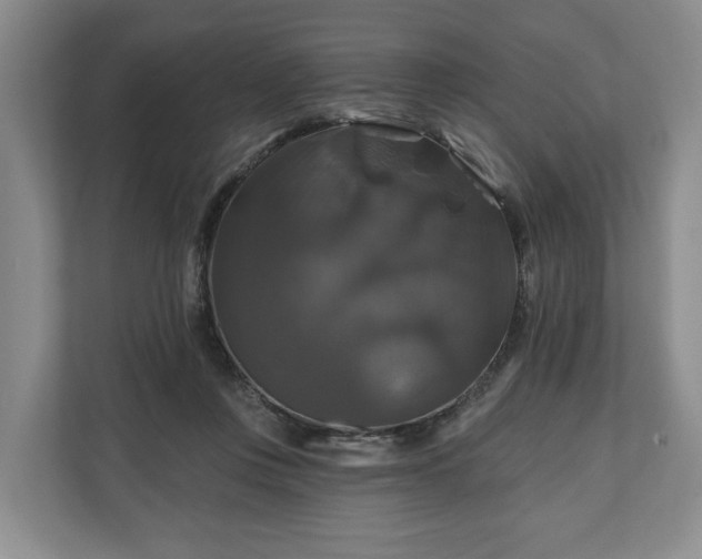 X0000111200359200907081246