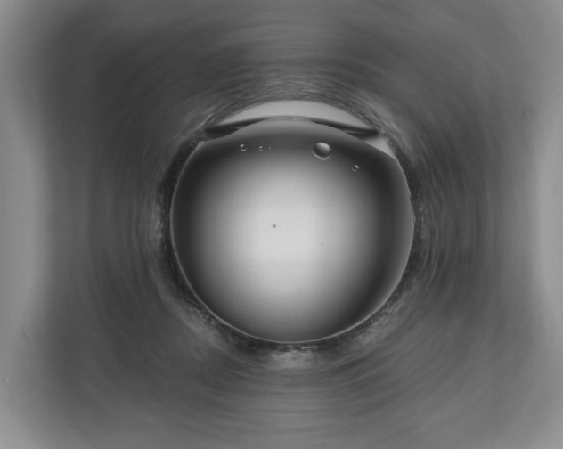 X0000111200362200907081246