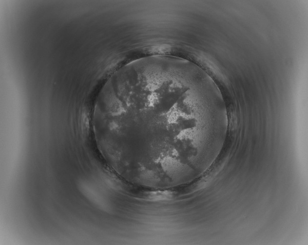 X0000111200363200907081246