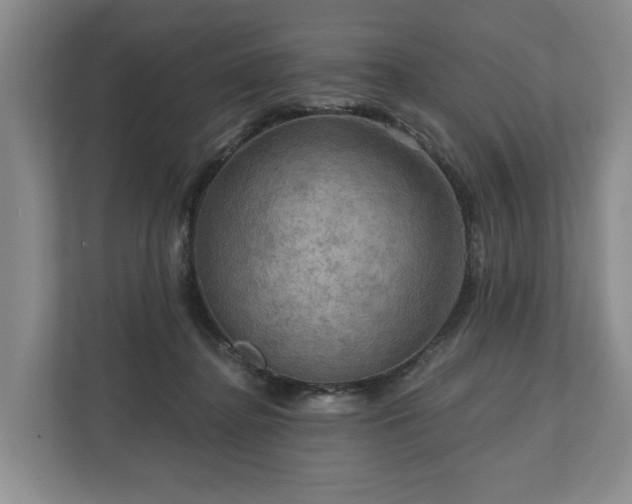 X0000111200364200907081246