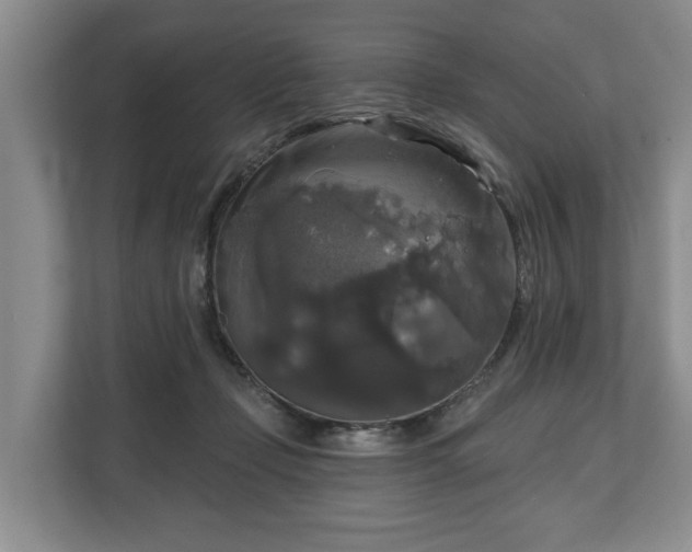 X0000111200365200907081246