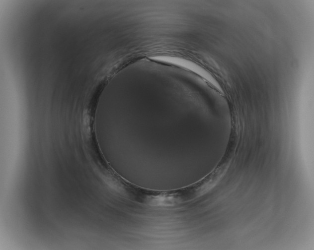 X0000111200366200907081246