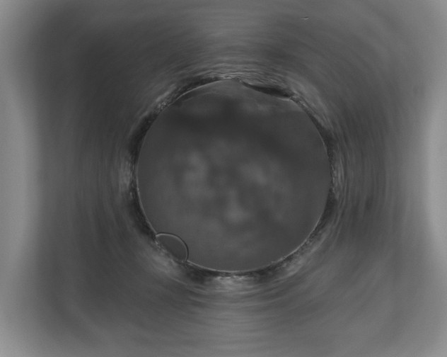 X0000111200367200907081246