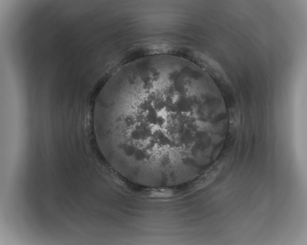 X0000111200369200907081246