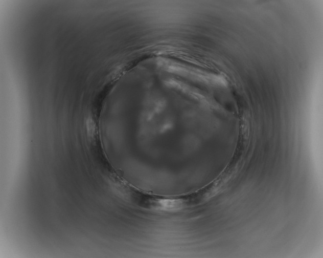 X0000111200371200907081246