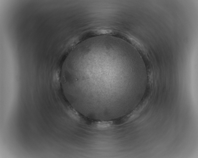 X0000111200373200907081246