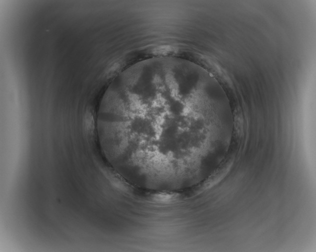 X0000111200375200907081246