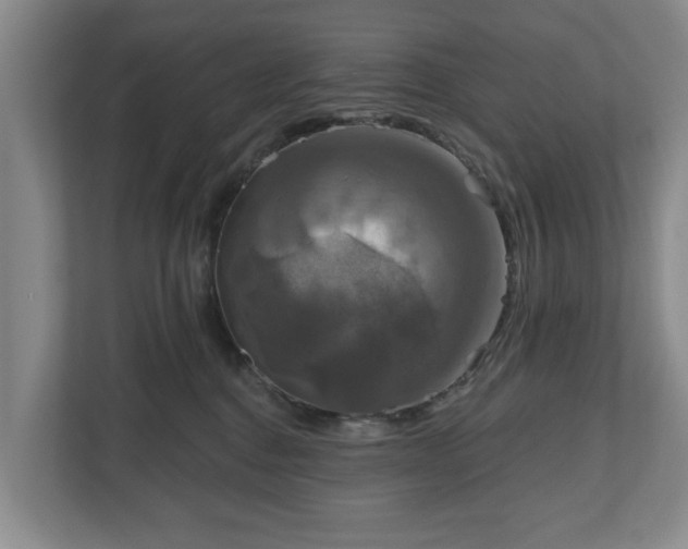 X0000111200376200907081246