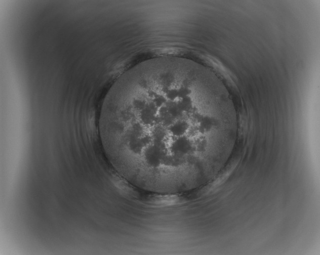 X0000111200377200907081246